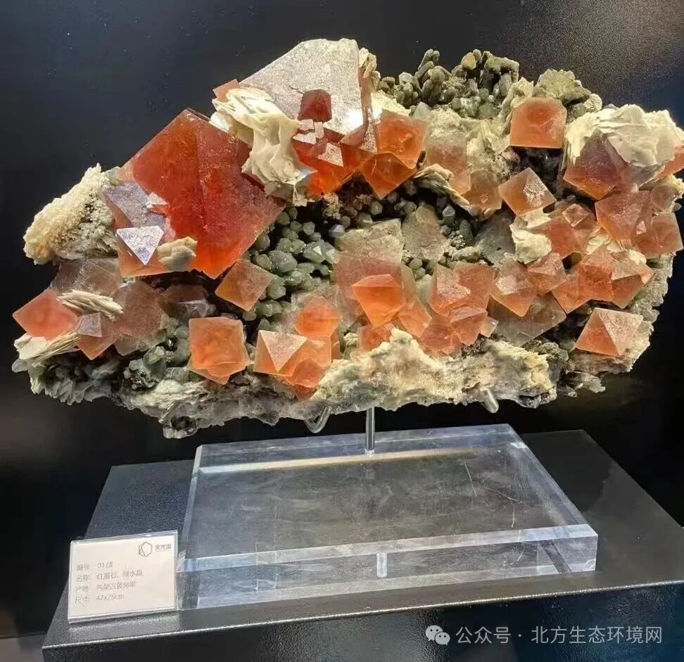 江苏东海县疑案：合伙纠纷还是入室盗窃？